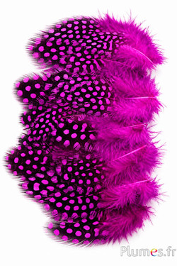 Perlhuhn - 3-6 cm - fuchsia